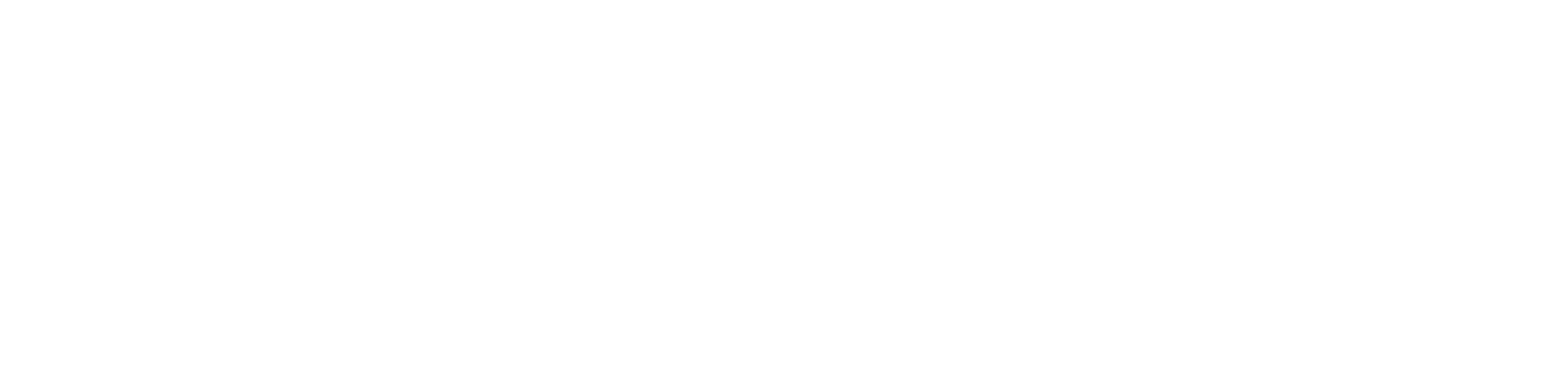 <i>|</i>