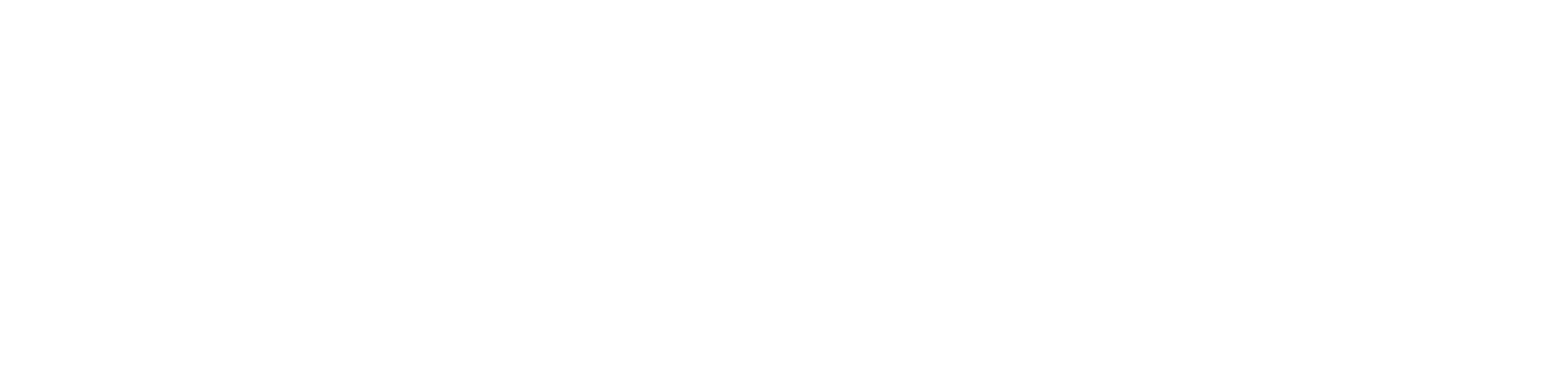 <i>|</i>