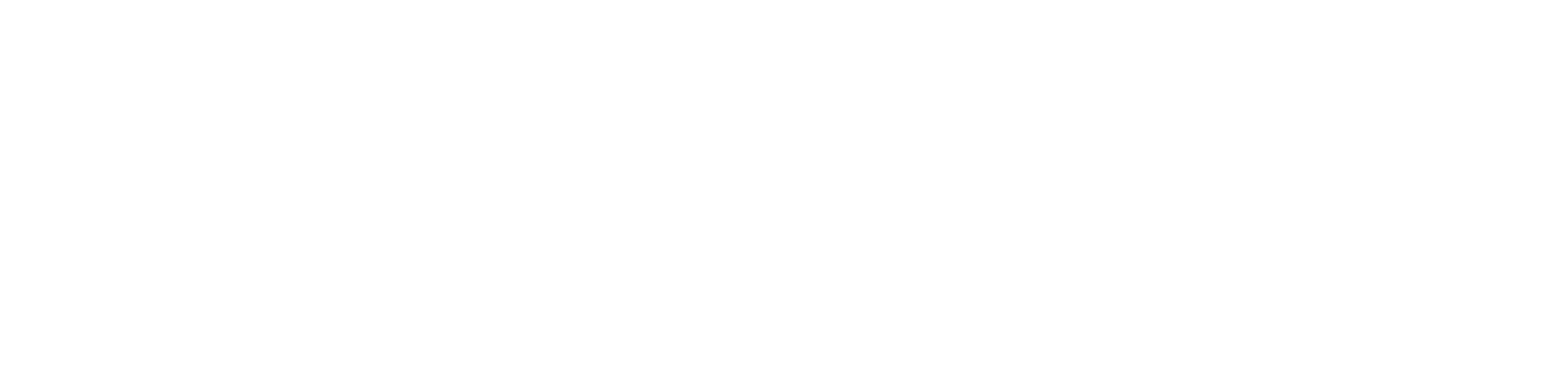 <i>|</i>
