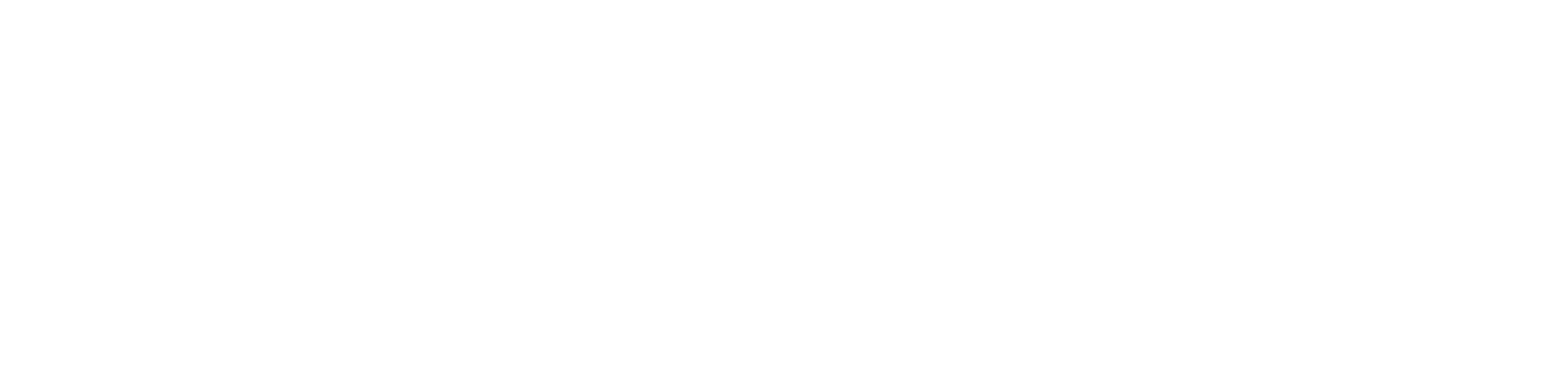 <i>|</i>