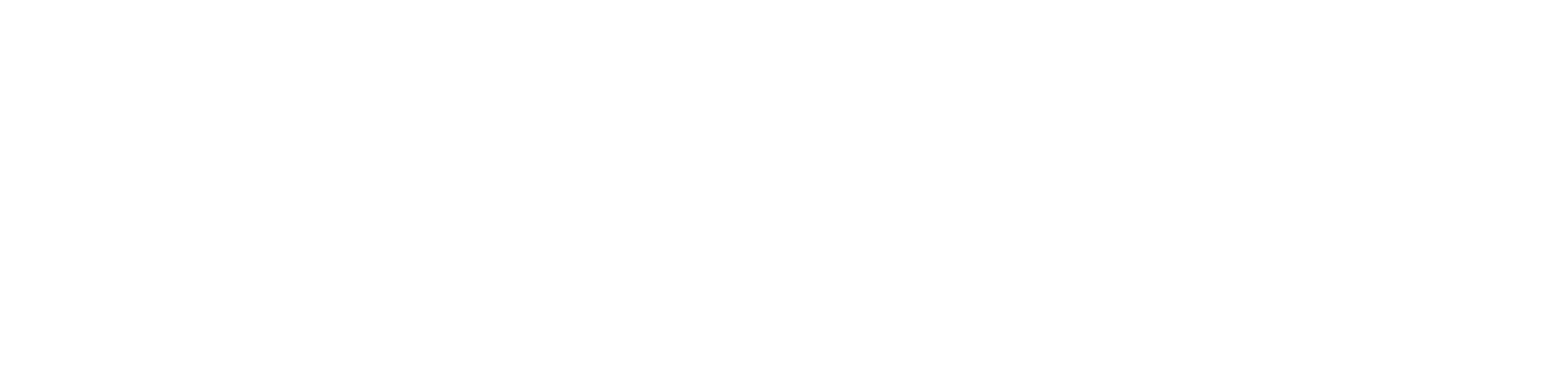 <i>|</i>
