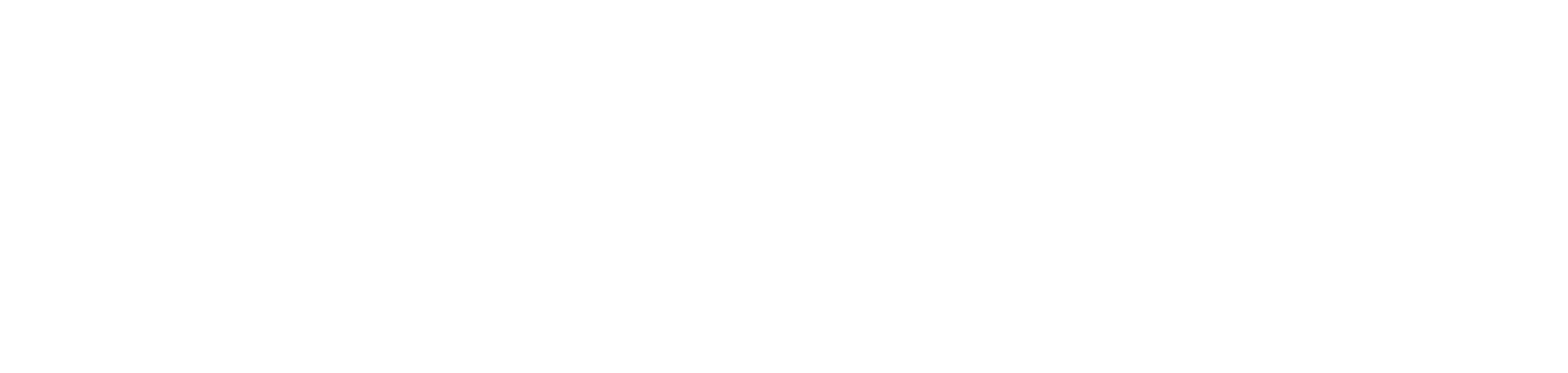 <i>|</i>